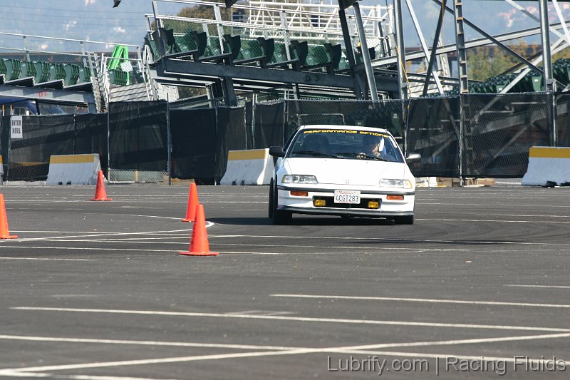 IMG_1948