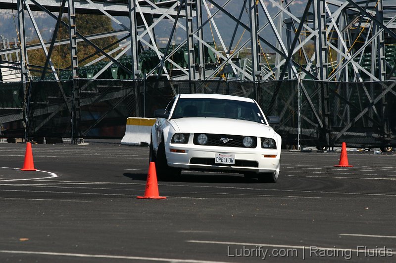 IMG_2117
