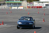 IMG_2350