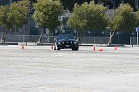 IMG_4310