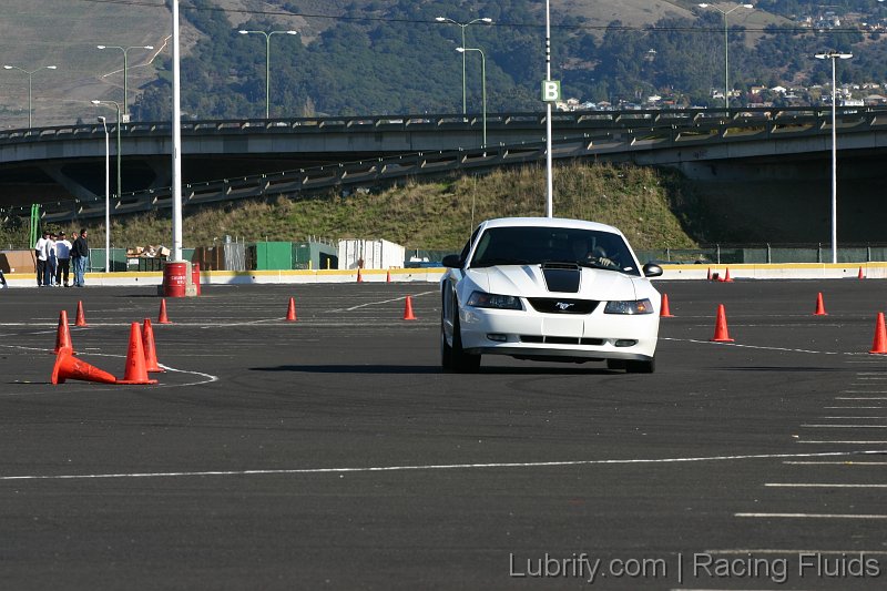 IMG_6349