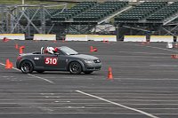 IMG_7565