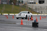 IMG_8088