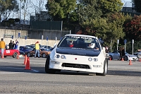 IMG_8262