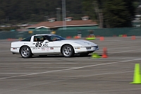 IMG_9491