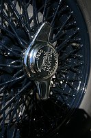 IMG_5795